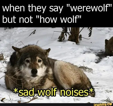 werewolf sad meme