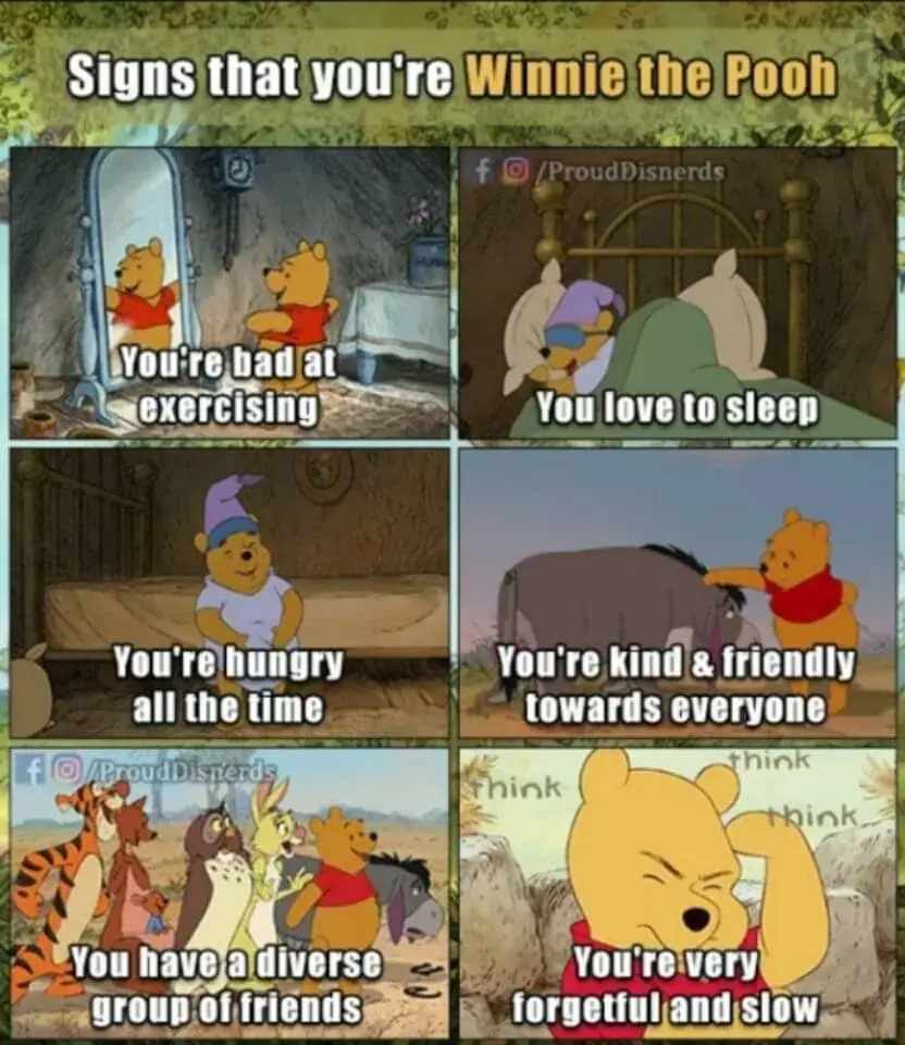 Winnie Pooh Bear Meme