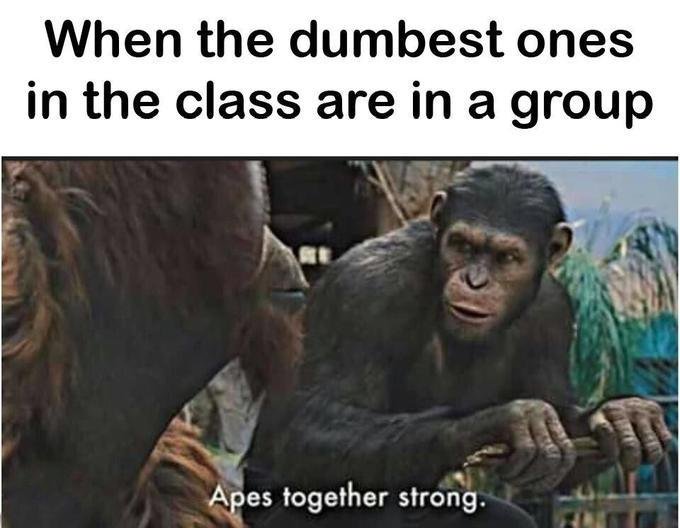 Funny Ape Monky Meme 
