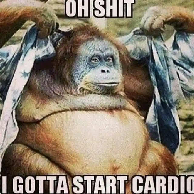 Fat Monkey Cardio Meme