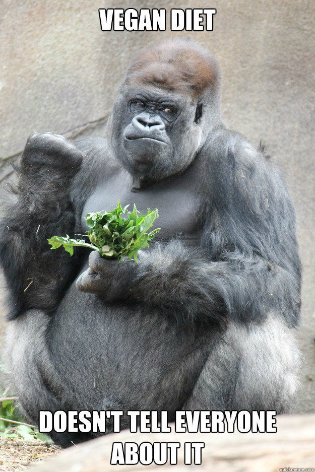 Gorilla Looking Meme