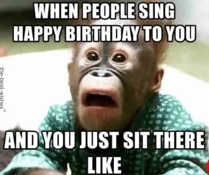 Happy Birthday Monkey Meme