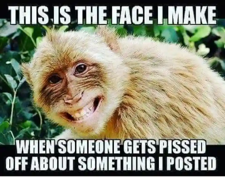 Happy Monkey Meme