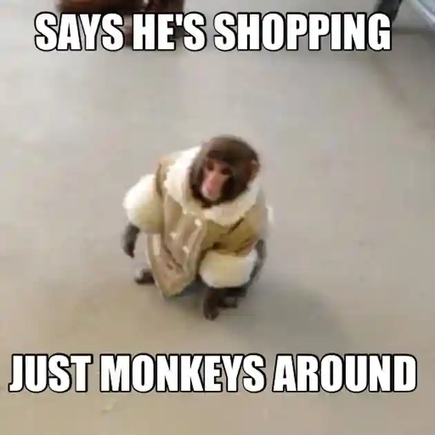 IKEA Monkey Meme