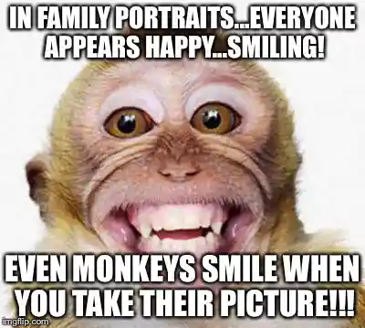 Meme Smile Monkey