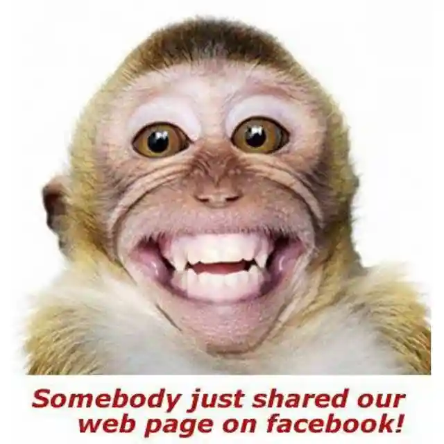 Meme Smiling Monkey