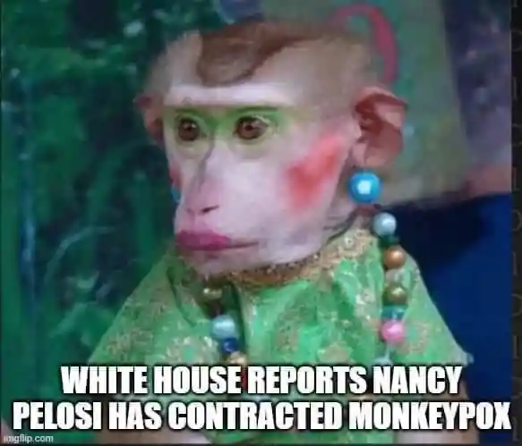Monkey Pox meme