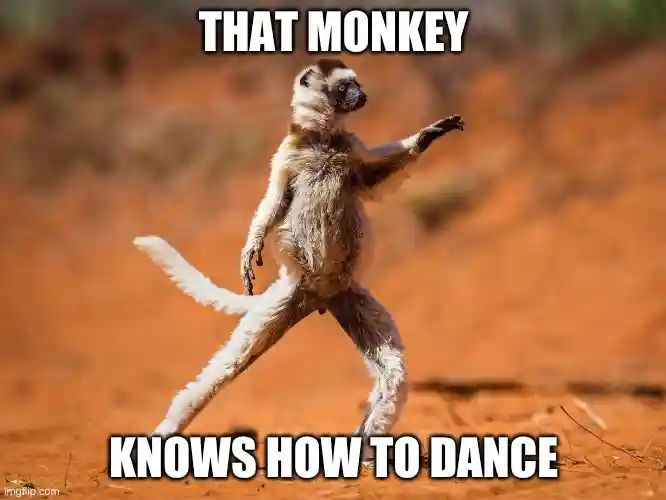 Monkey Dance Meme