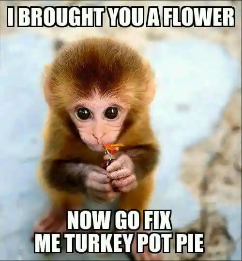 Mischievous Monkey Mondays: Wholesome And Spicy Memes From Our Ape