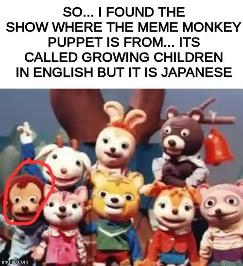Monkey Puppet Meme