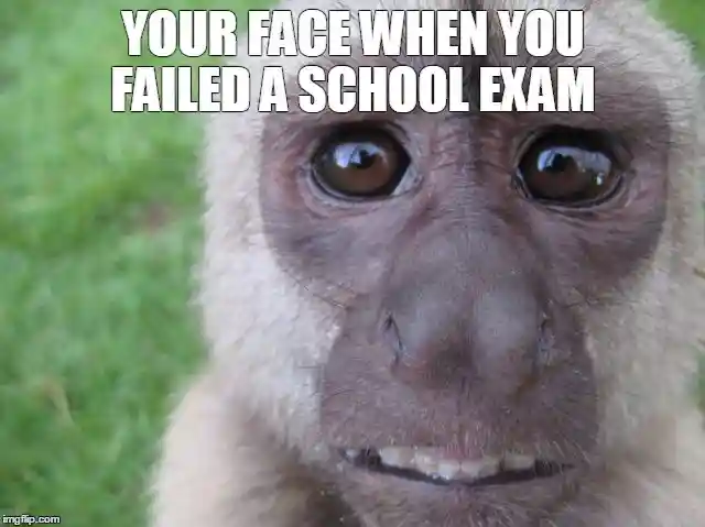 Monkey Scared Meme