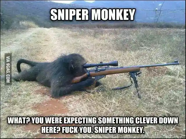 Sniper Monkey Meme