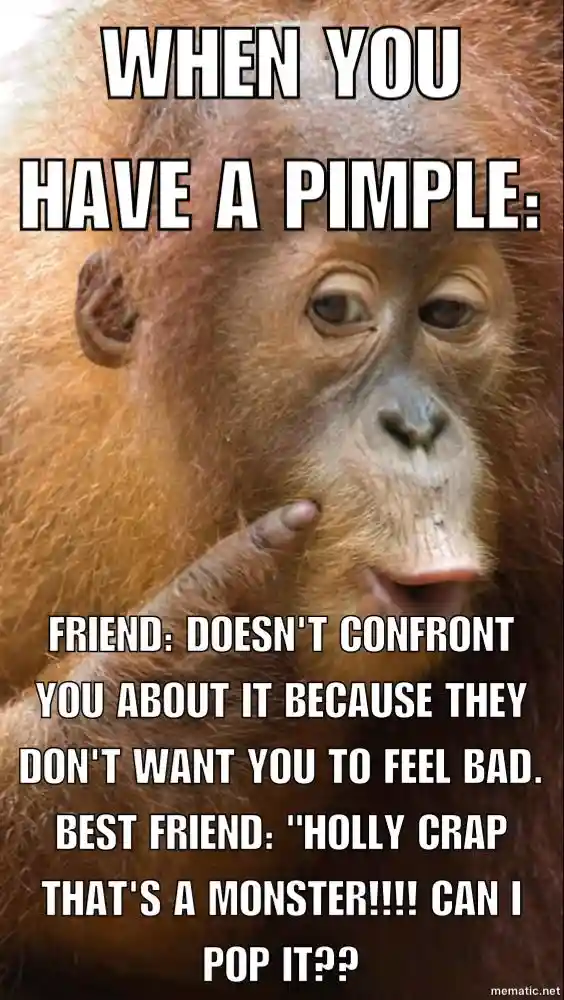 Ugly Pimple Monkey Meme