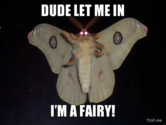 let me in fairy meme