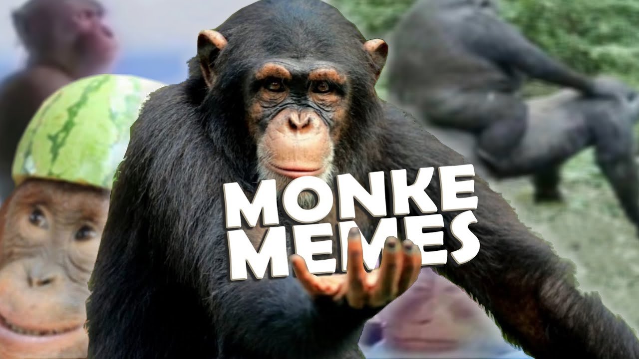 Awkward Monkey Looking Away Puppet Meme - Monkey Meme - Posters and Art  Prints