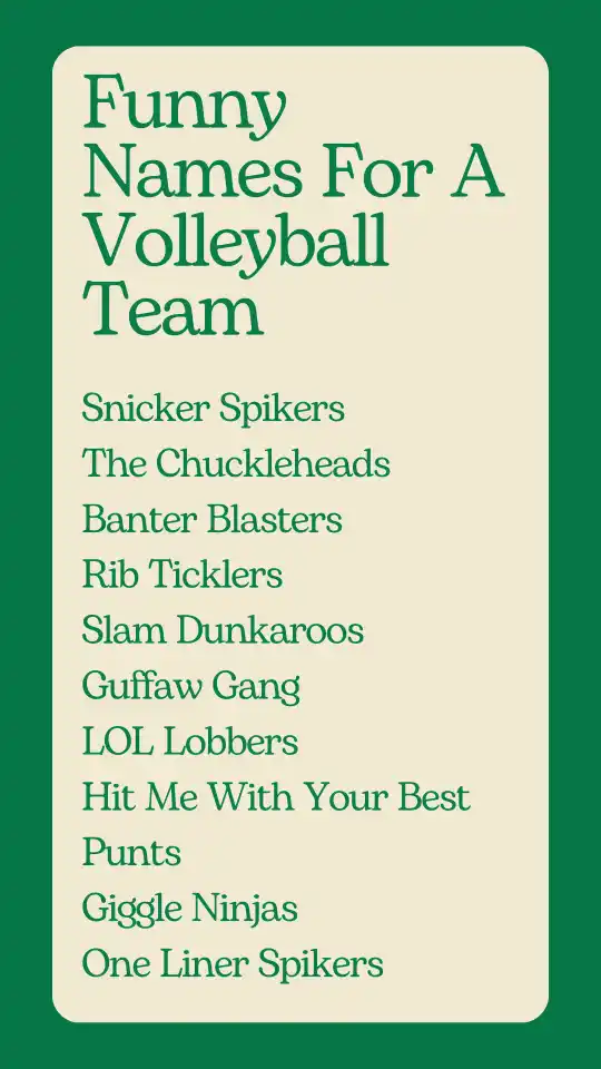 Funny Names For A Volleyball Team