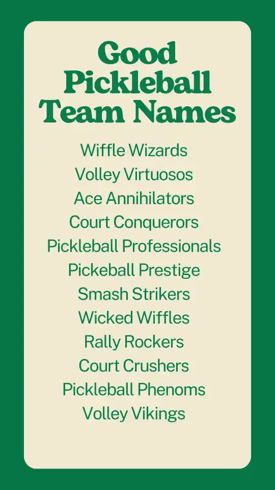 Good Pickleball Team Names