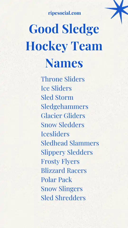 Good Sledge Hockey Team Names