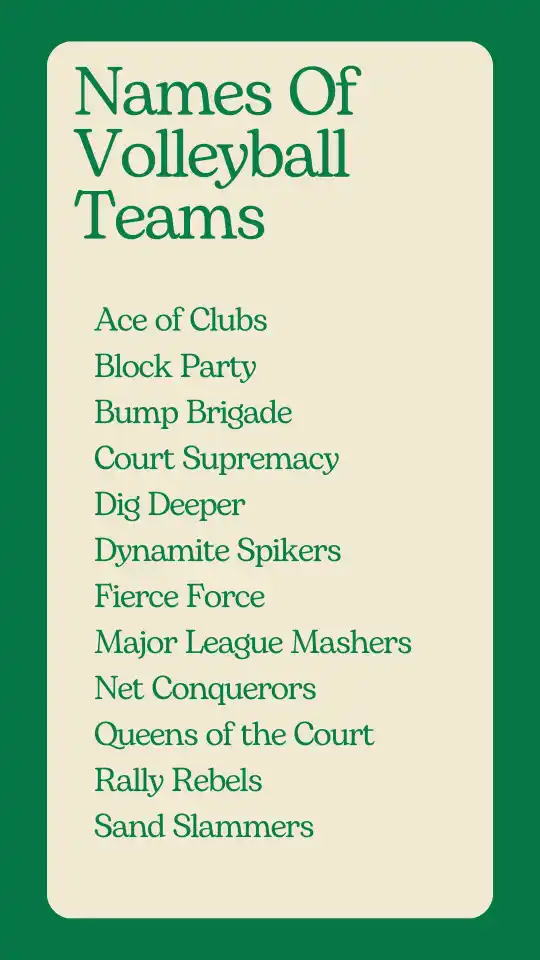 Names Of Volleyball Teams