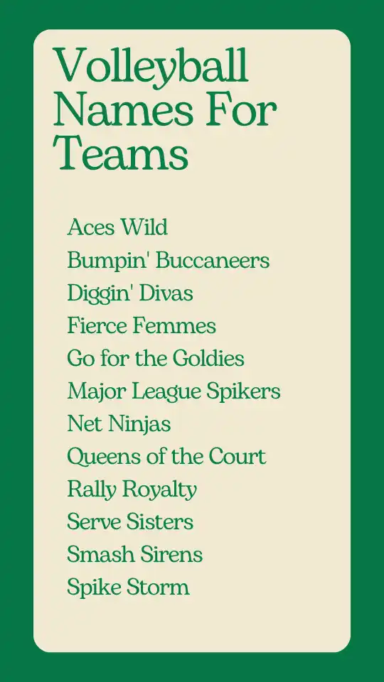 Volleyball Names For Teams