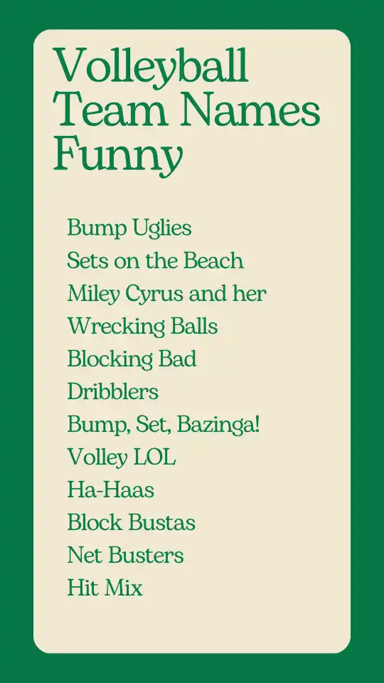 Volleyball Team Names Funny