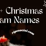 christmas team names