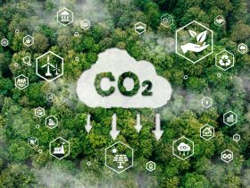 google carbon